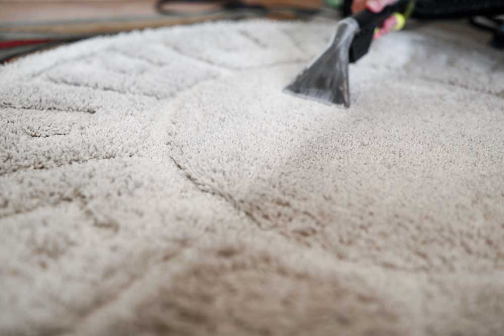 Professional carpet cleaning technician performing deep extraction in a residential home