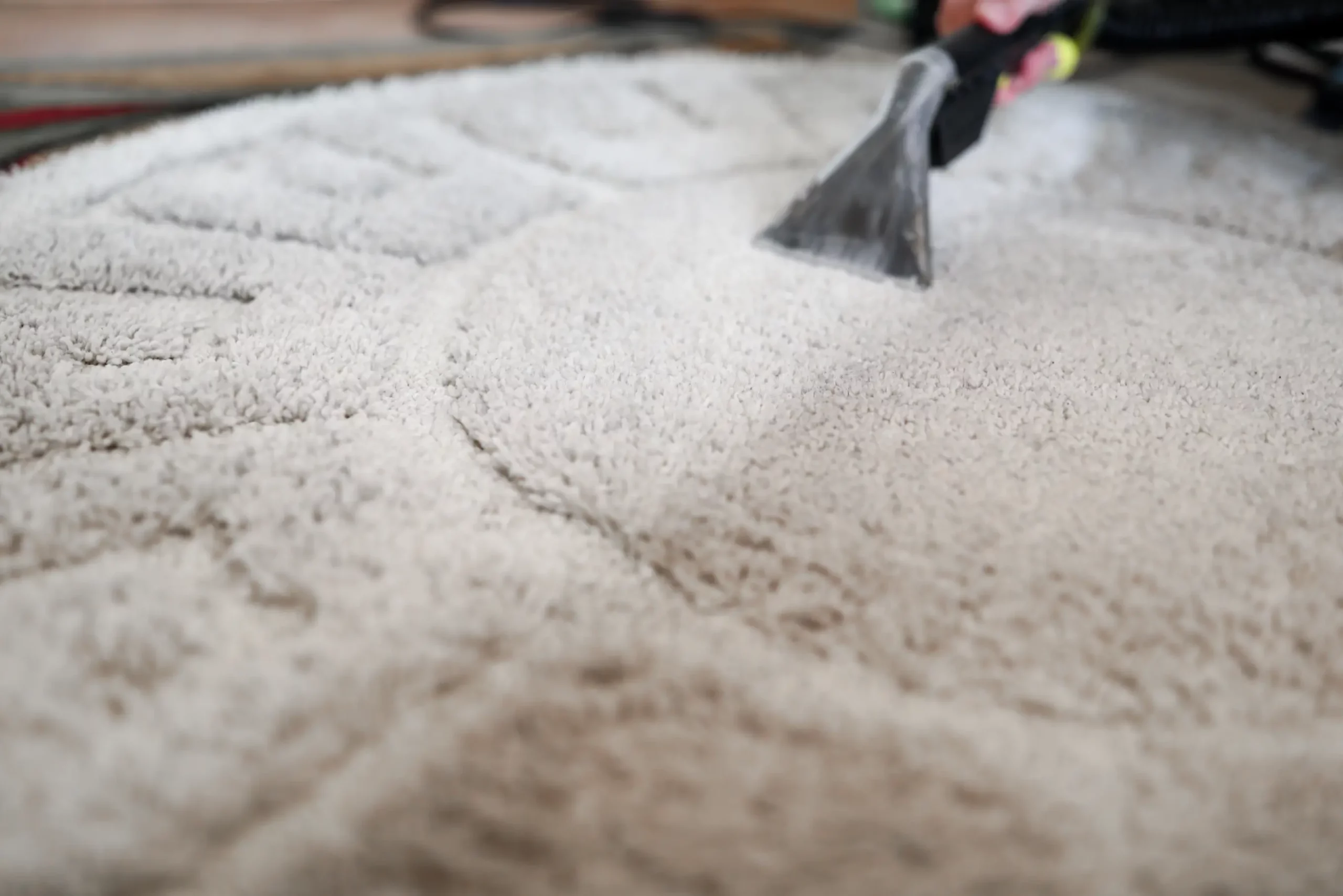 Circular area rug being vacuumed during professional area rug cleaning