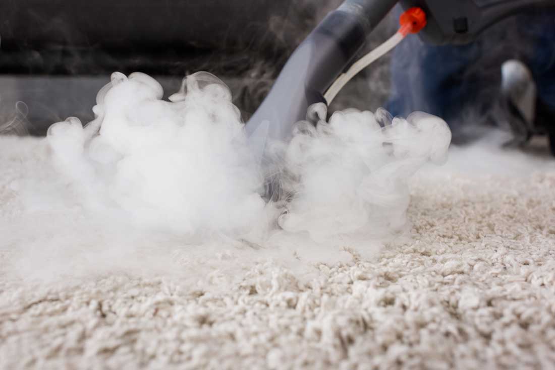 Steam cleaning equipment being used on residential carpet